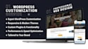 do wordpress customization service with modern responsive design