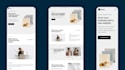 build, rebuild, frontend, modify website development