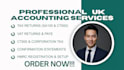 provide expert bookkeeping, ct600, vat returns, and payroll services