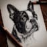 draw your pet portrait with the pencil sketch