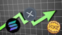 do meme coin creation stable coin listing,token creation website evm stable coin