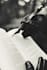 write and translate articles, blogs and documents