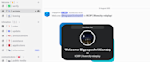 make a fully functional discord server with bots, roles and channels