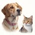 do a custom pet portrait, dog portrait, cat portrait