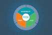 analyse server logs and perform vulnerability assessments
