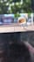 do stunning 3d animations