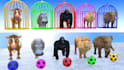 create 3d cartoon crossing fountain with animals for kids