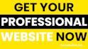 build a professional website for your business