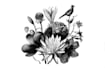 create a beautiful vintage botanical illustration