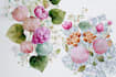 create a botanical watercolor illustration art