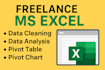 do data cleaning, data analysis, pivot table and charts in excel