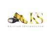 do modern professional shoes, footwear logo design