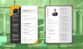 impressive professional graphical CV, resume design