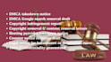 draft professional dmca takedown notice and copyright infringement letters