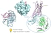 do molecular docking to your project