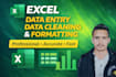 accurate excel data entry data cleaning data formatting services