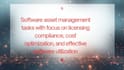 software asset management consultant licensing compliance expert
