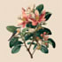 draw realistic botanical illustration