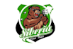 design professional angry bear logo