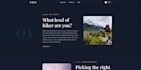 design and develop a professional full stack website