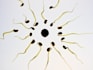 provide erectile dysfunction risk assessment and prevention plan