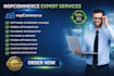 build fix optimize nopcommerce site payment integration spree commerce ecommerce