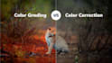 do professional video color grading and color correction