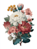 draw a realistic botanical illustration