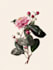 do digital botanical illustration