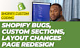 fix shopify bugs, customize themes, and provide shopify custom coding solutions