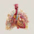 draw detailed medical illustrations