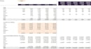 instant financial model in 24hours
