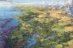 draw fantasy map illustration