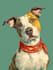 make a disney pets portrait illustration in disney style