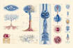 create medical illustrations and diagrams