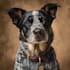 make realistic digital pet portrait dog, cat, horse
