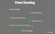 be your expert data cleaner and provide professional data cleaning