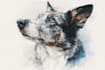 draw watercolor pet portrait