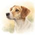 simple watercolor portrait of your pet