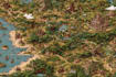 fantasy map design map illustration fantasy map
