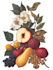 draw a botanical floral logo design