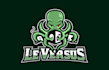 do modern professional custom octopus logo design