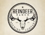 do modern professional high quality deer logo