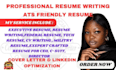 write professional resume writing ats resume usajobs executive resume CV letter