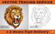 vectorize your logo or image into a high quality vector file