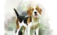 painted your dog into artistic painting