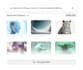 develop ai website, ai chatbot, ai web application, ai automation agency website