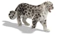 realistic 3d creatures model, 3d animal animation, character rigging