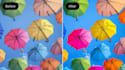 ai image enhancer, face swap, ai photography and remove object with wahab