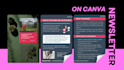 design a professional email newsletter